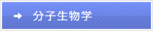 分子生物学